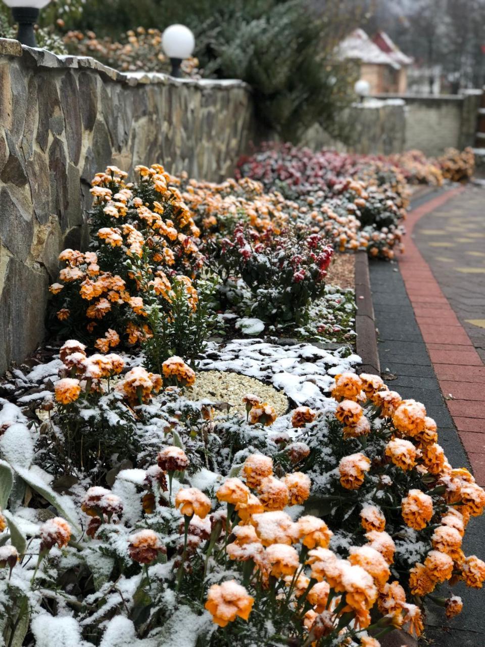 Karpatska Mria Hotel Yaremche Exterior photo